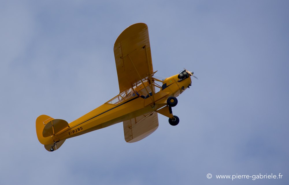 piper_0537.jpg
