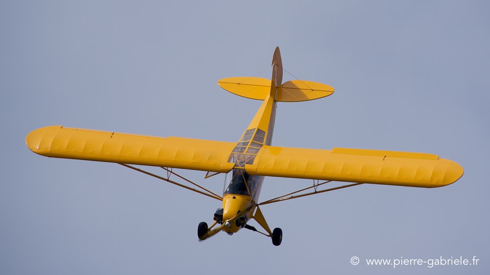 piper_0539.jpg