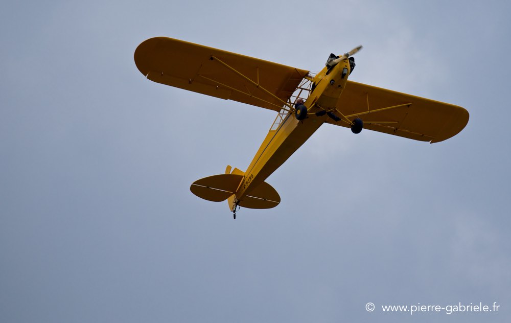 piper_2831.jpg