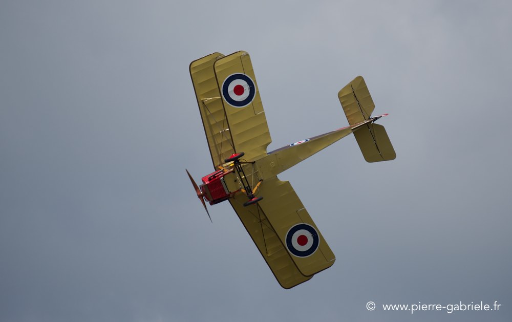 raf-se5_2245.jpg