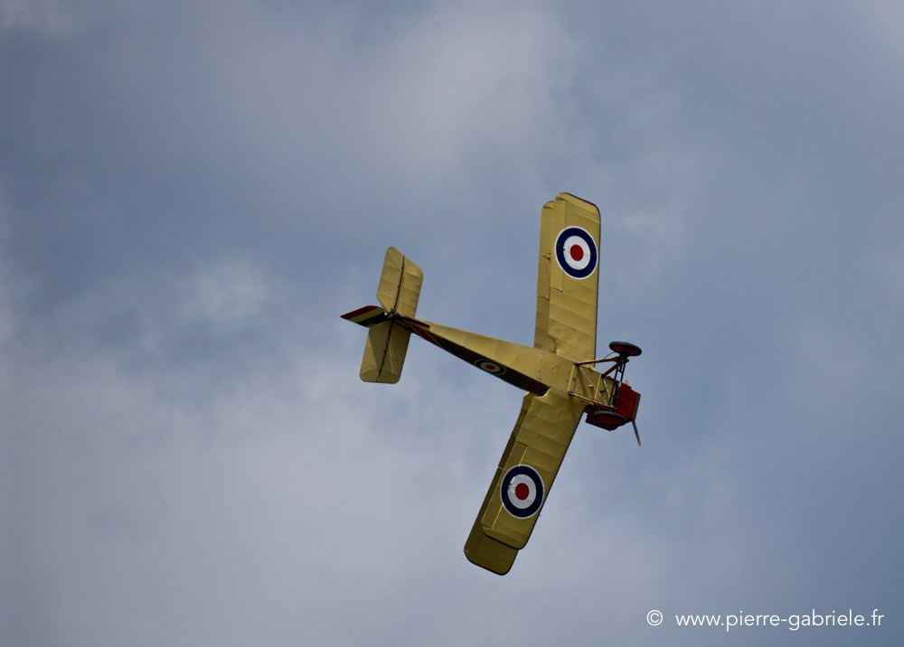 raf-se5_2694.jpg