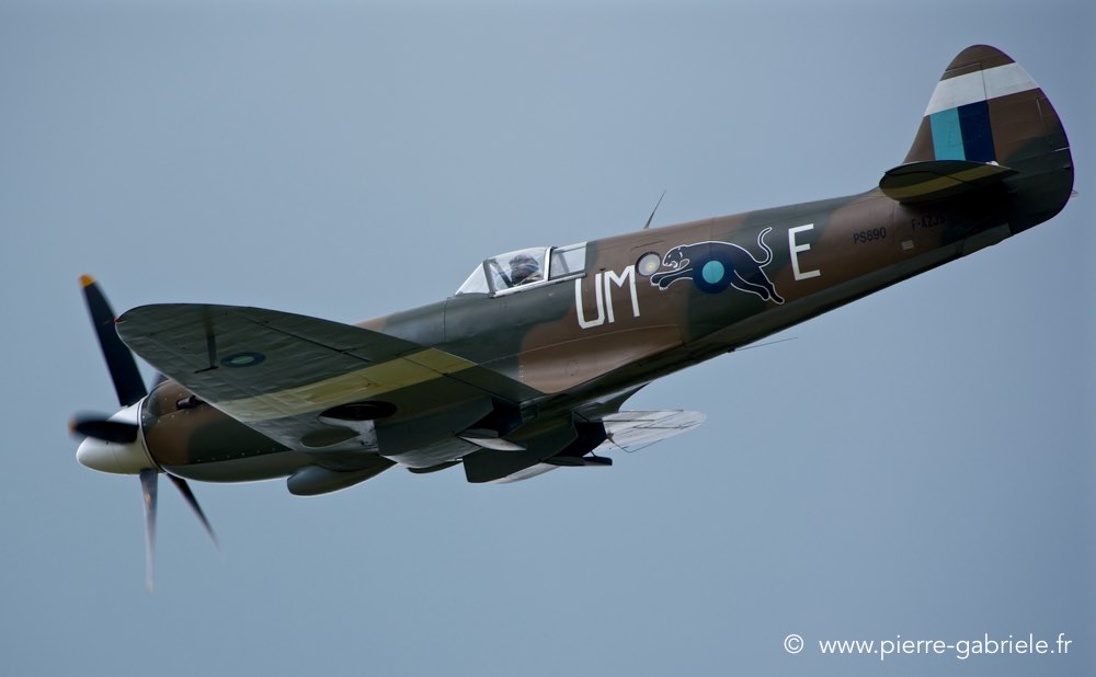 spitfire_1121.jpg