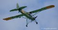 storch_2333