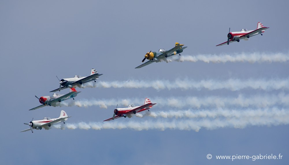 yak50_0303.jpg