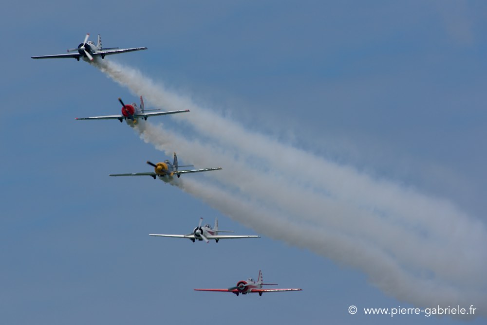 yak50_0337.jpg