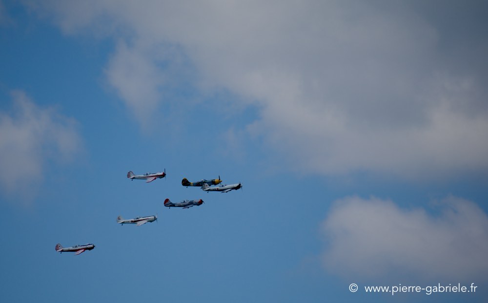 yak50_2264.jpg