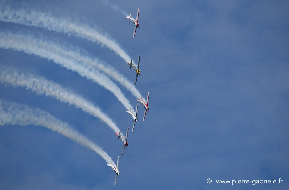 yak50_2274.jpg