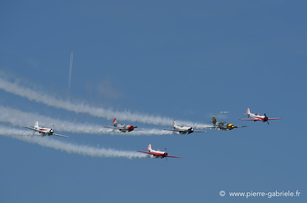 yak50_2277.jpg