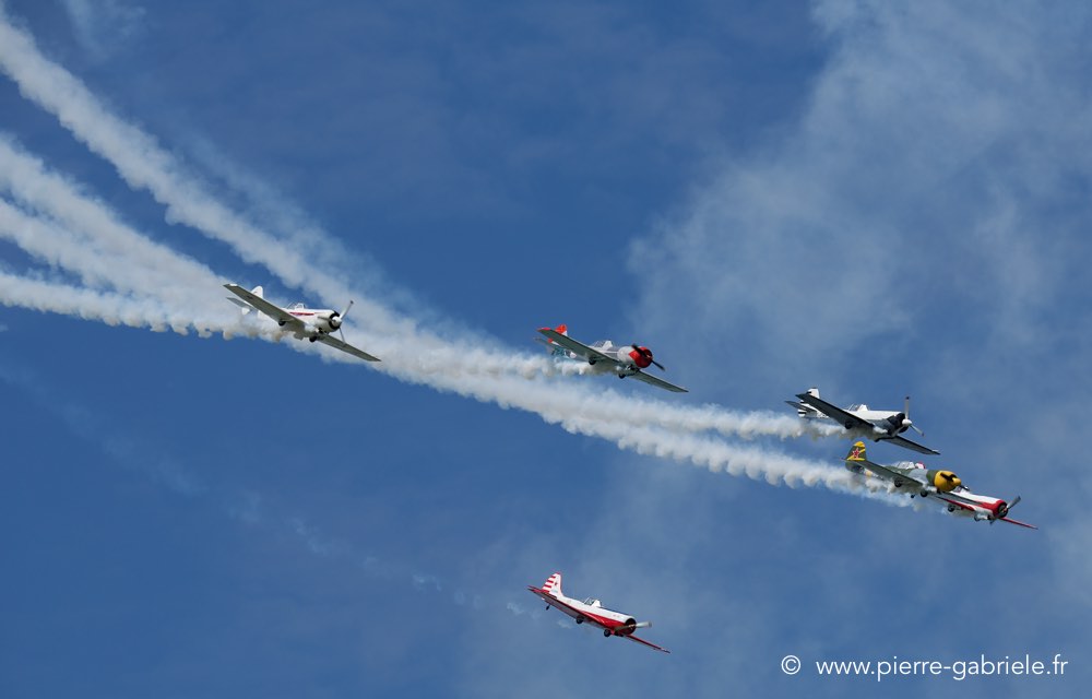 yak50_2283.jpg
