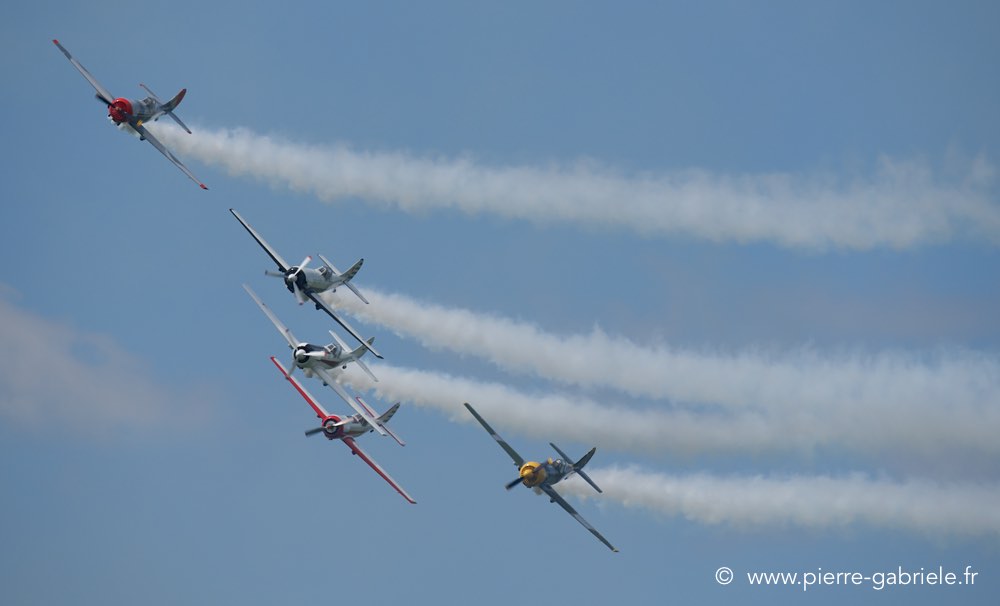 yak50_2286.jpg