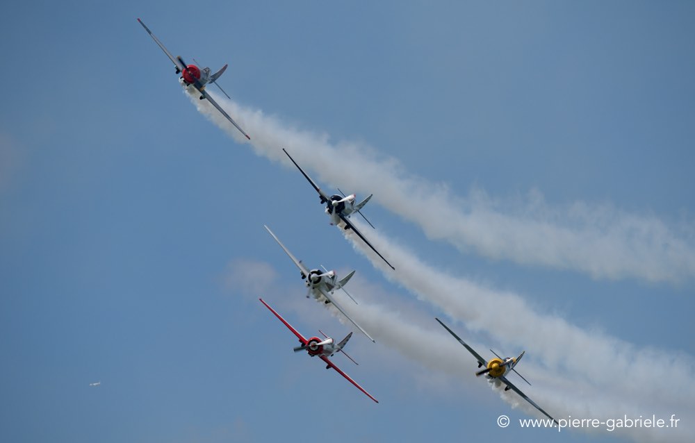 yak50_2287.jpg