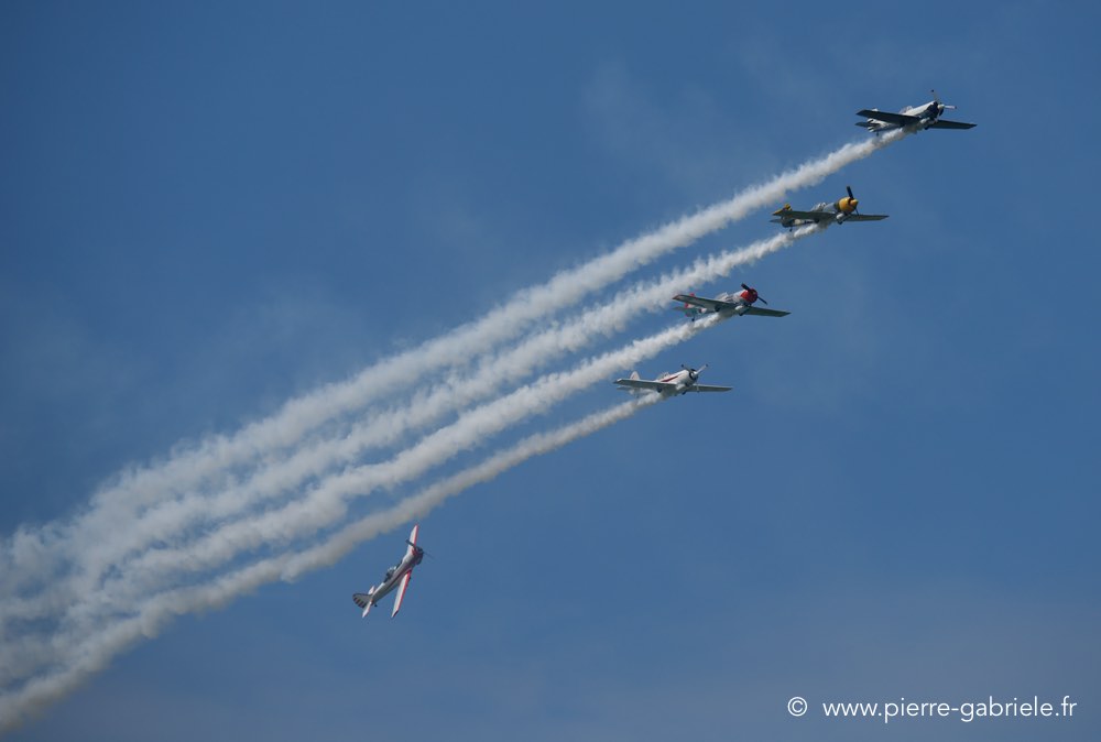 yak50_2305.jpg