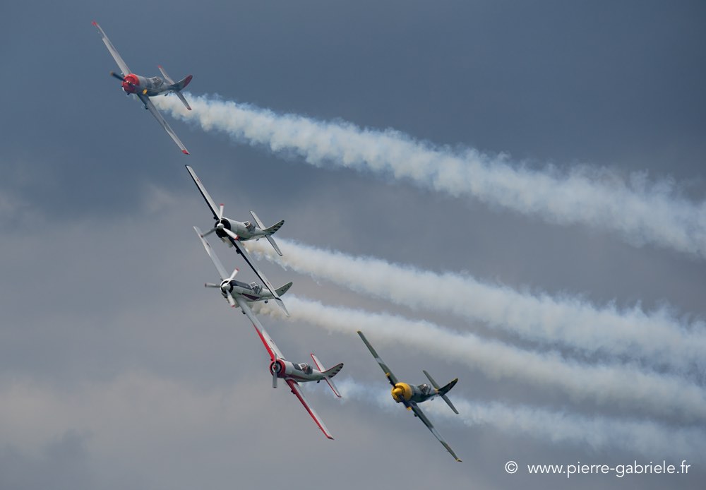 yak50_2720.jpg
