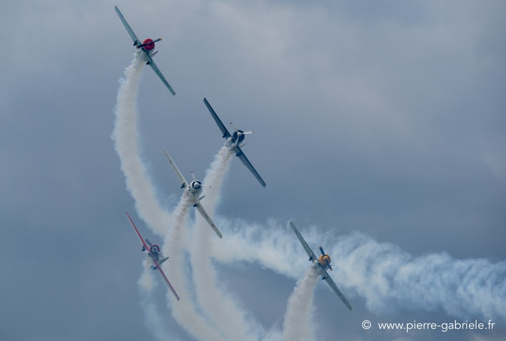 yak50_2721.jpg