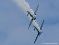 yak50_0343