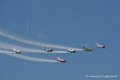 yak50_2277