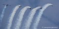 yak50_2296
