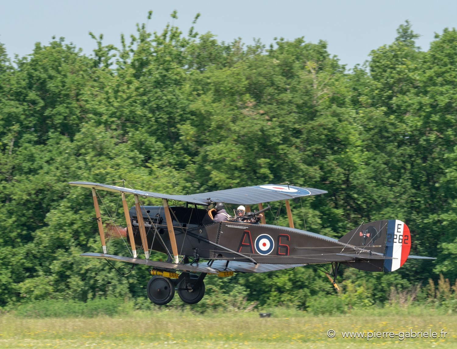 bristol-fighter-g91__2989.jpg