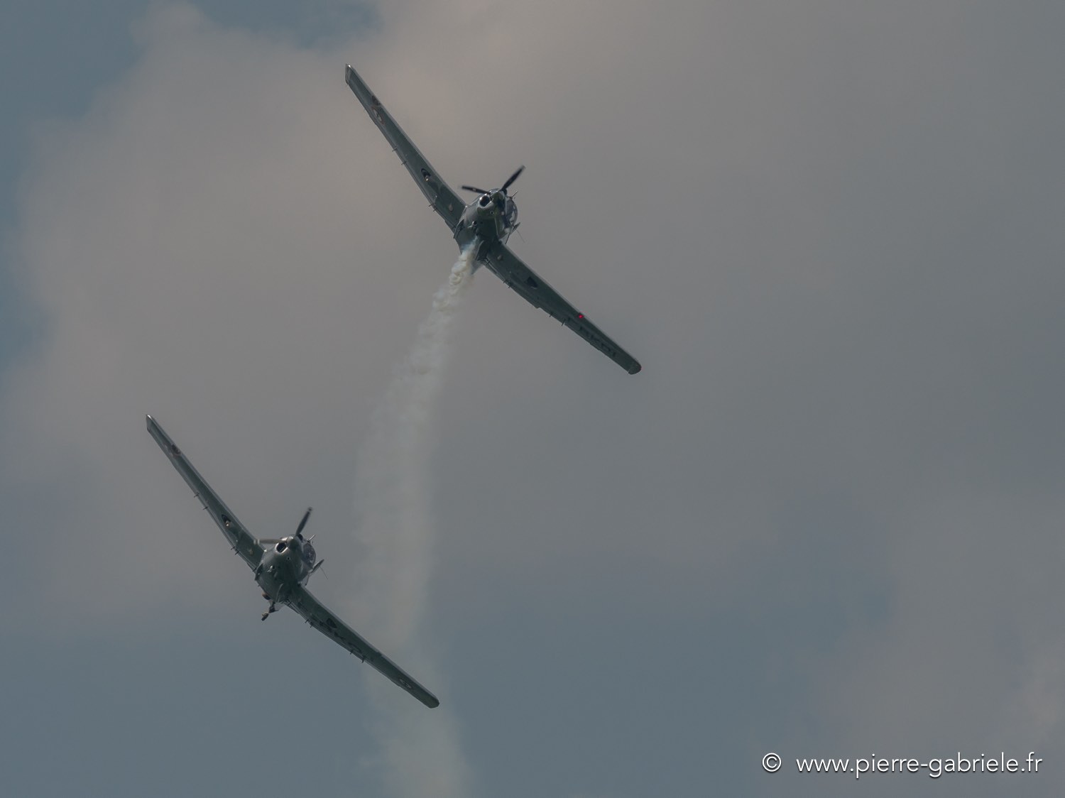 ms733-g92_2826.jpg