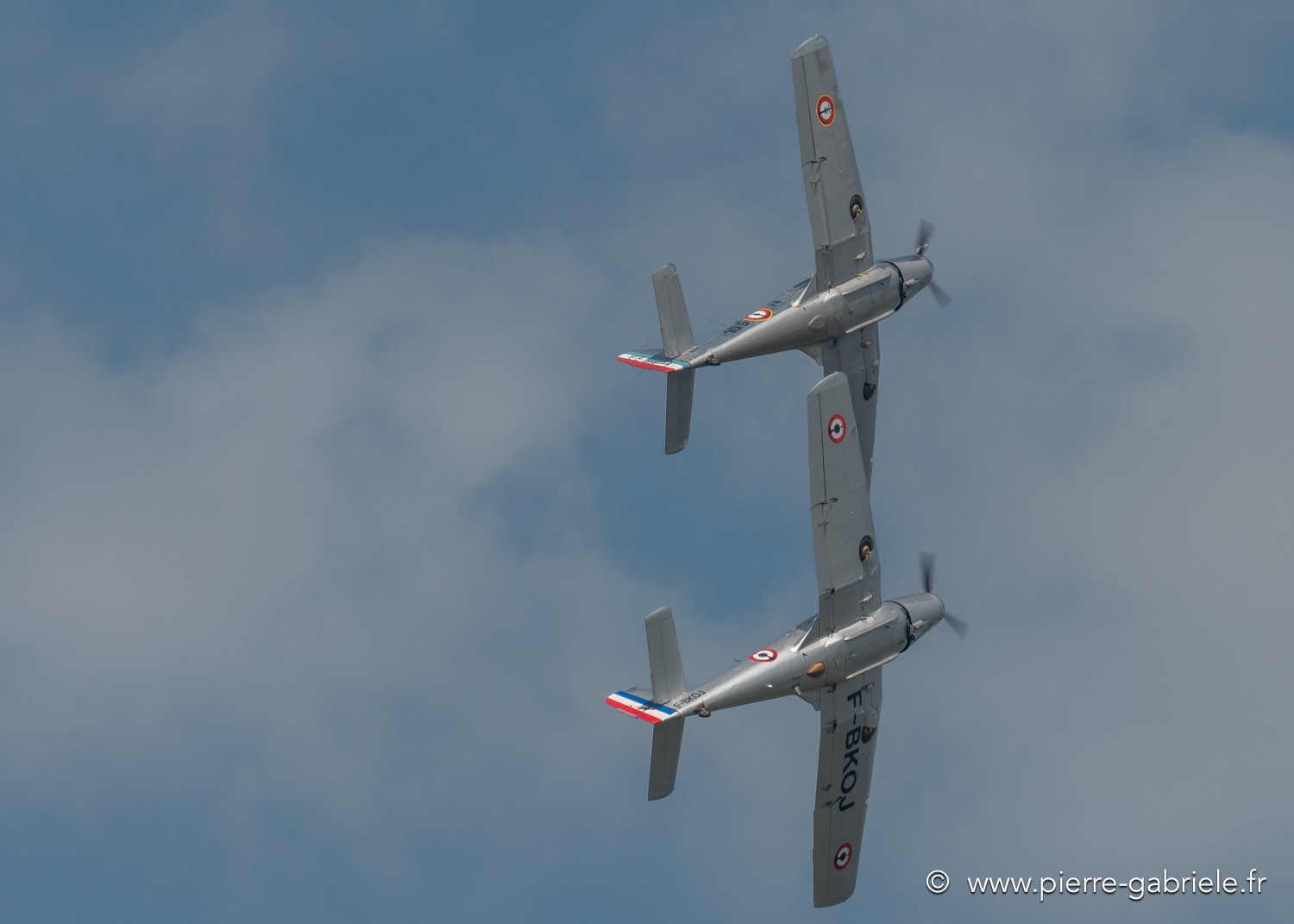 ms733-g92_2828.jpg