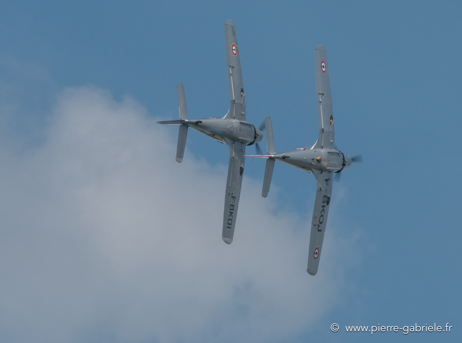 ms733-g92_2829.jpg