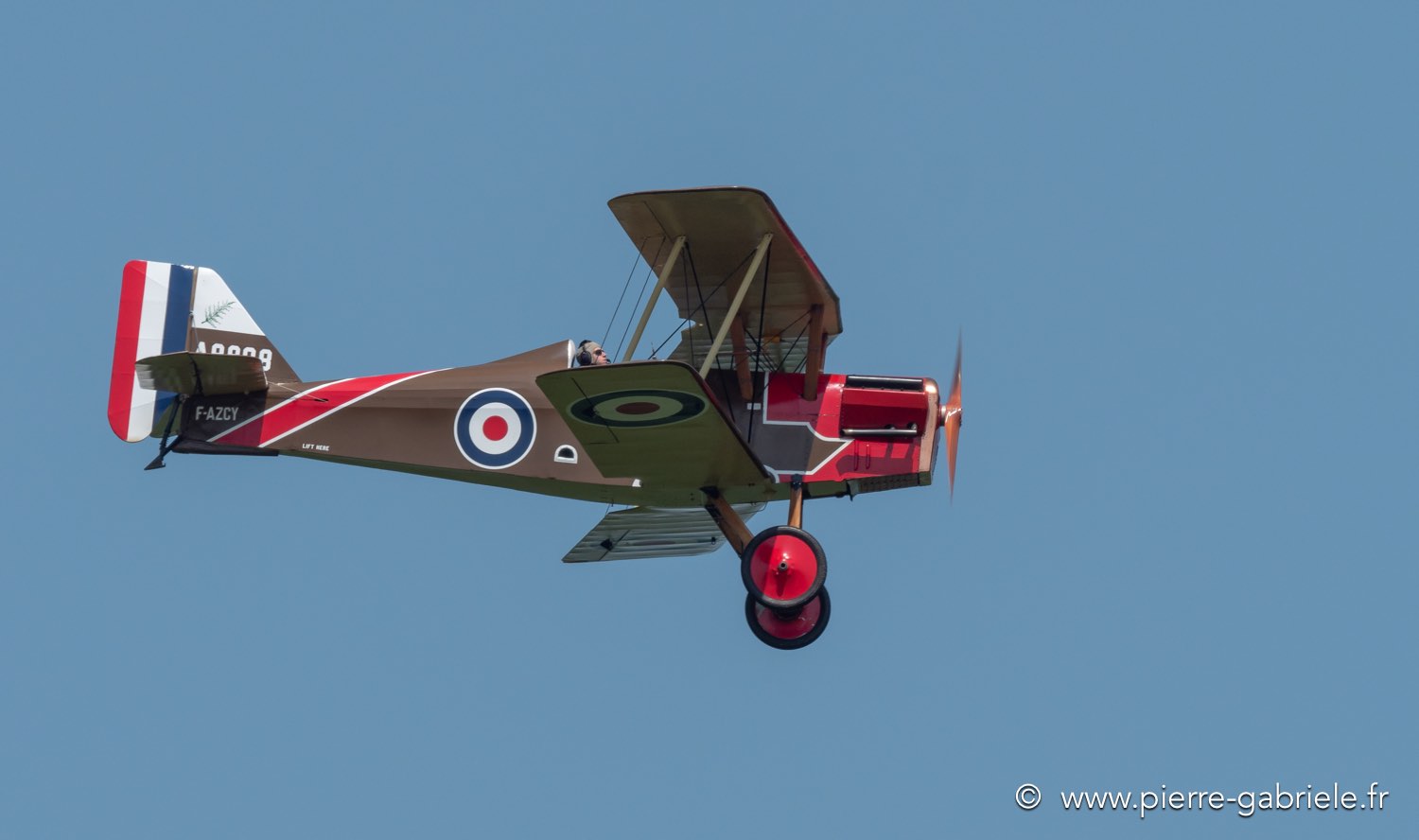 se5-g92_2447.jpg