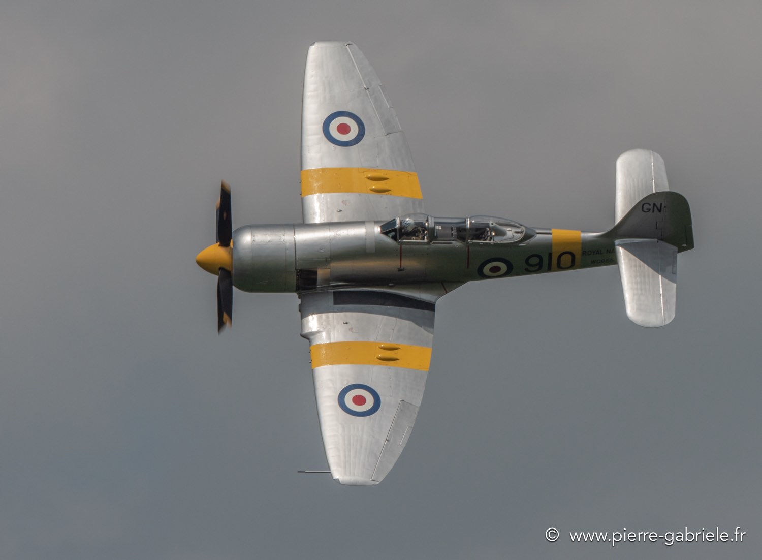 seafury-g92_2679.jpg