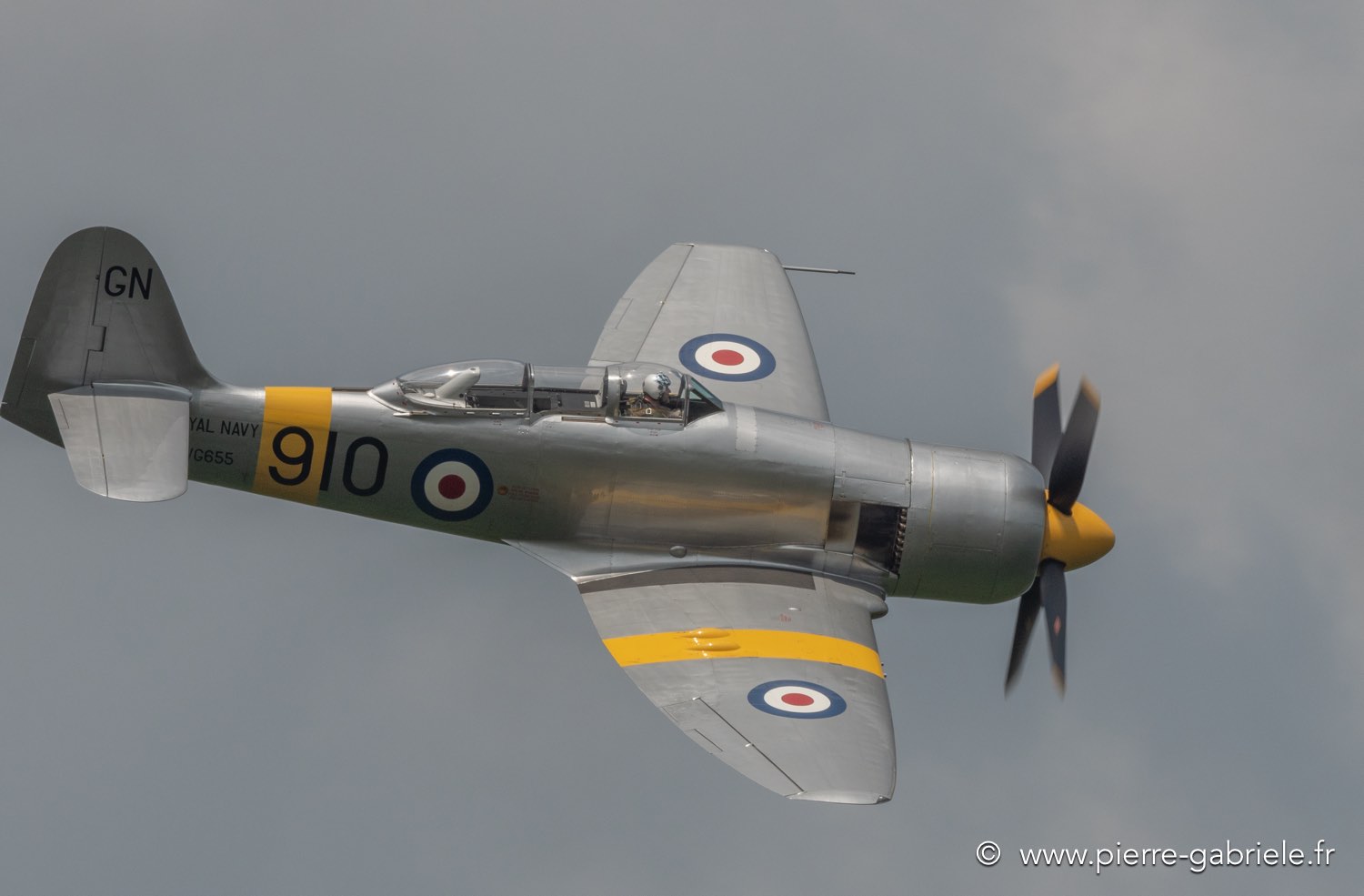 seafury-g92_2689.jpg
