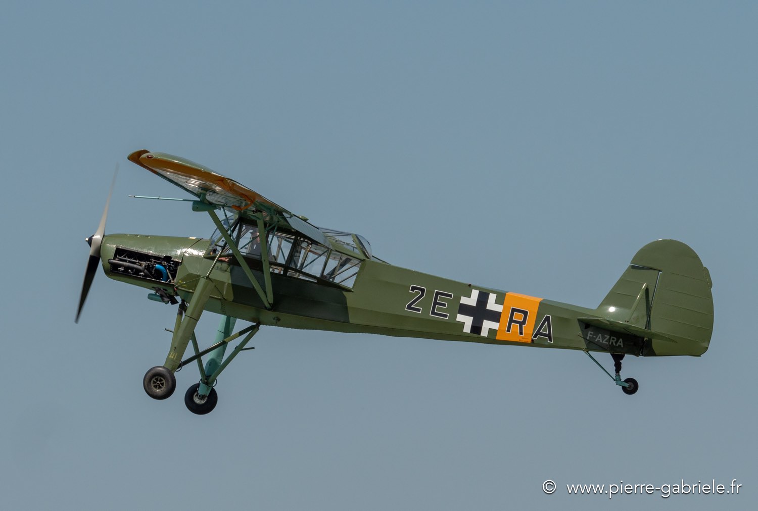 storch-g91__3038.jpg