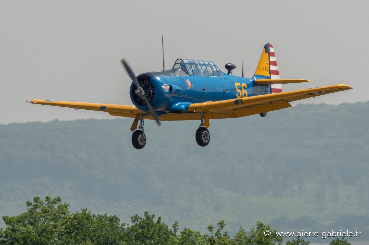 t6-g92_1636.jpg