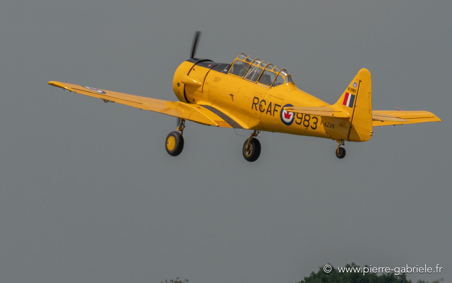 t6-g92_2722.jpg