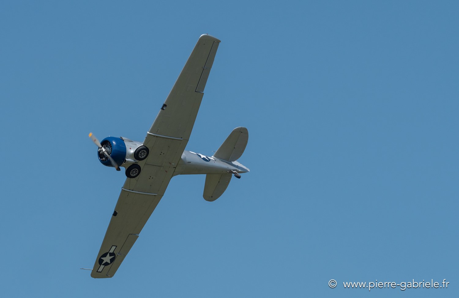 tora-tora-g91__3076.jpg