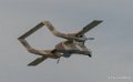 bronco-gh6_5414