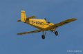 druine-d31-gh7_1538