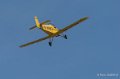 druine-d31-gh7_1539