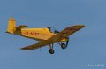 druine-d31-gh7_1543