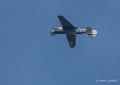 p40-gh7_1639