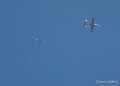 paras-gh7_1375