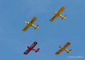 piper-cub-gh6_5324