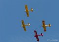 piper-cub-gh6_5326