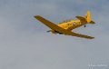 t6-gh6_5351
