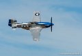 mustang-p51_7997