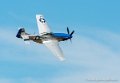 mustang-p51_7999