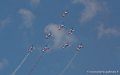 paf_8068