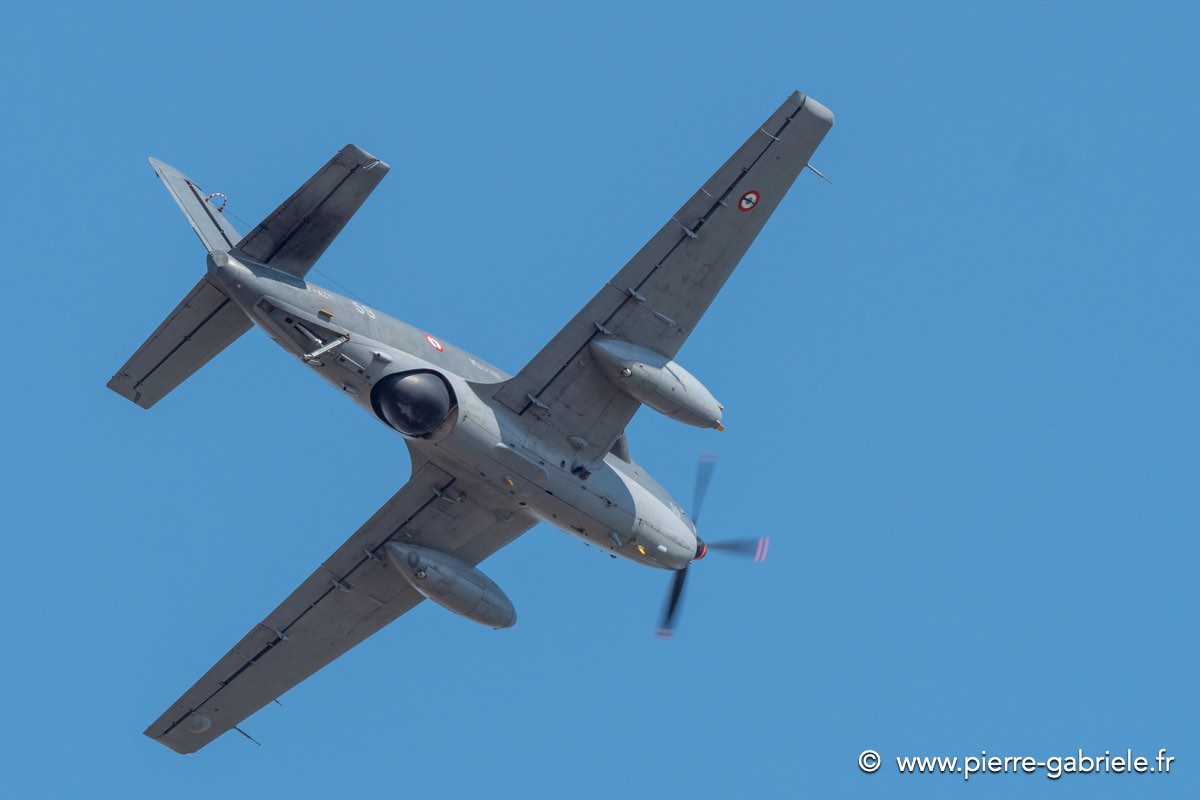 alize-g92_7839.jpg