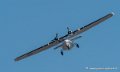 catalina-g92_8295