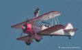 wingwalker-g92_8326