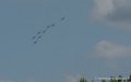 paf-laloubere-g93_9602