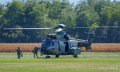 cougar-a74_00343