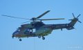 cougar-a74_00389